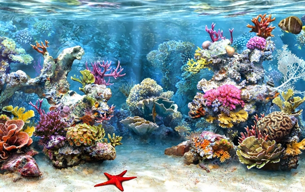 Arrecife de Coral