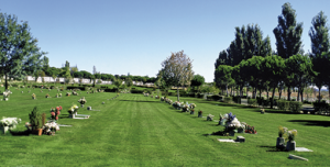 Parque Cementerio de la Paz (Parcesa)