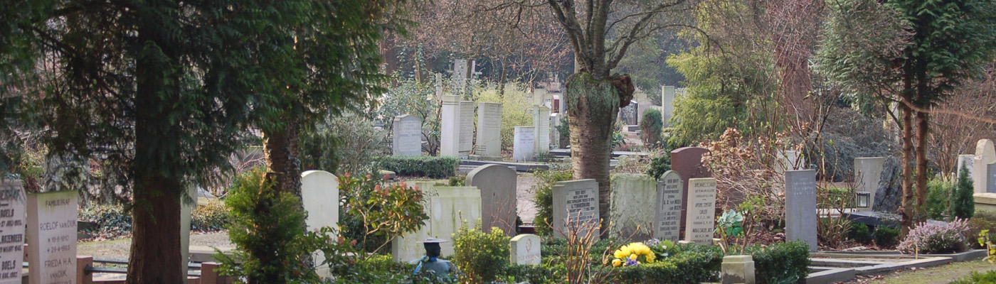 cementerio_holanda_web