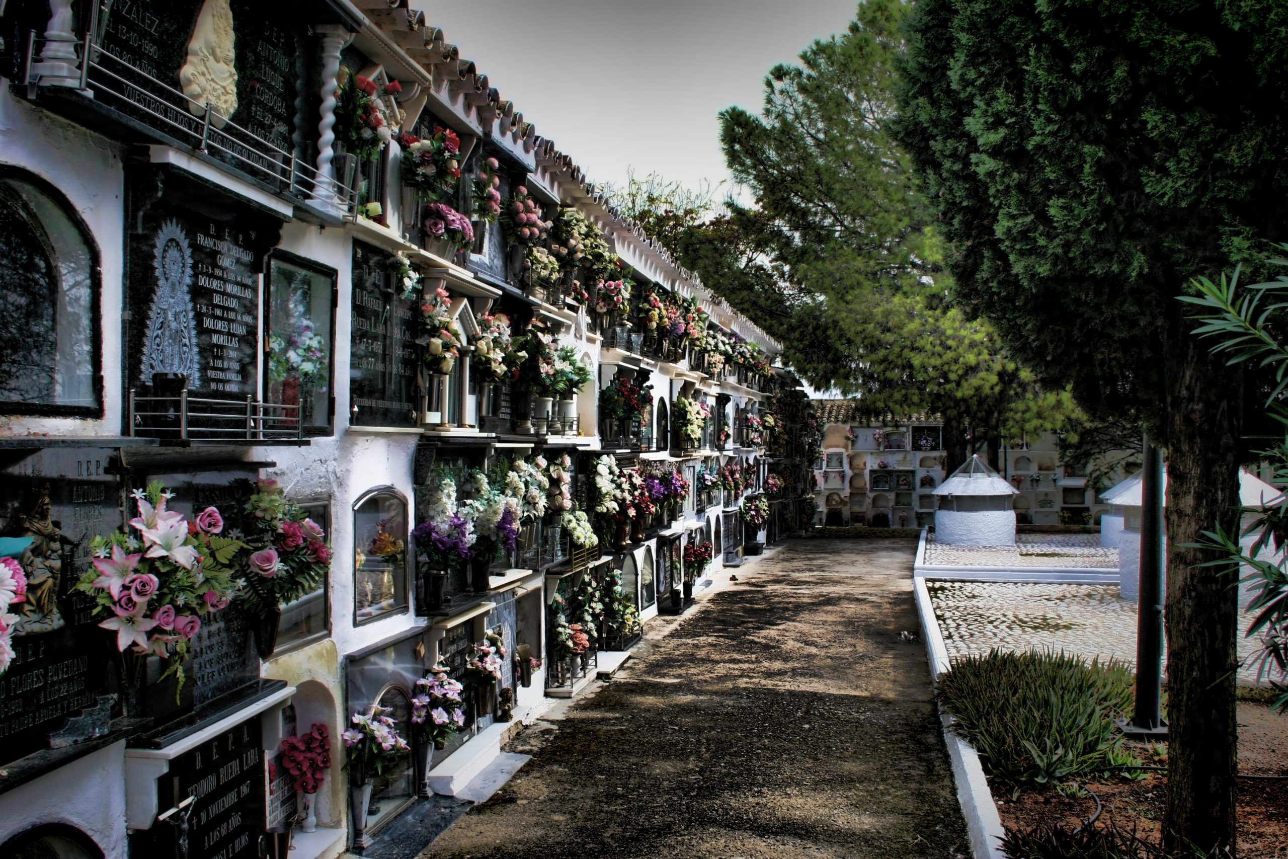 cementerio_de_monturque